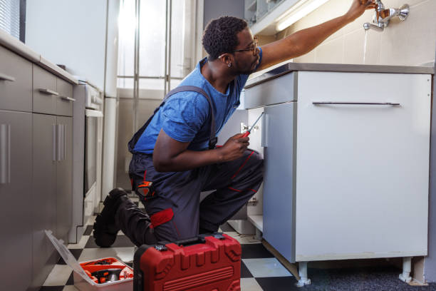 Best Same-Day Plumbing Service  in Holgate, OH